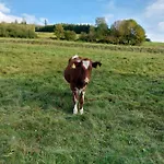 بيت للعطل Chatki فيسلا
