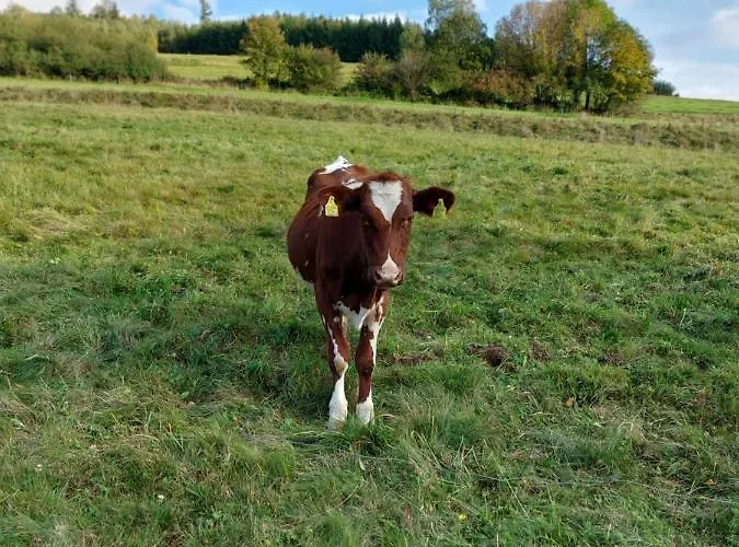 Dom wakacyjny Chatki Wisła